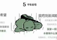 瓜哥娱乐吃鸡视频大全集,笑料百出,欢乐无限