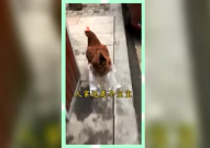 吃瓜群众的娱乐网名,揭秘吃瓜群众的娱乐网名背后的故事