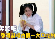 娱乐吃瓜直播白鹿,娱乐界新热点