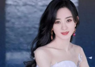 娱乐吃瓜离婚女星,揭秘离婚女星背后的故事